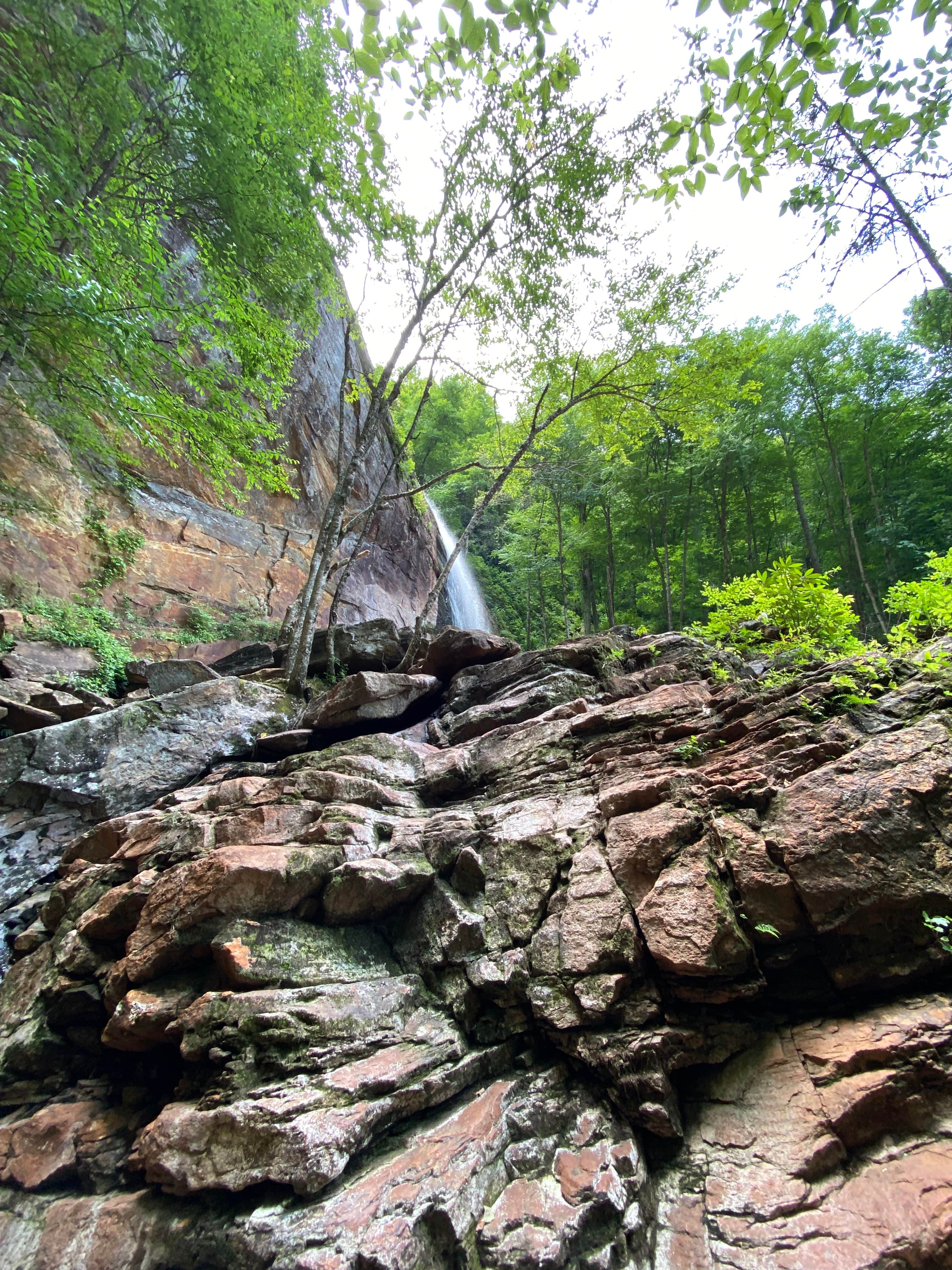 Camper-submitted photo at Ralph J. Andrews Campground near Otto, NC