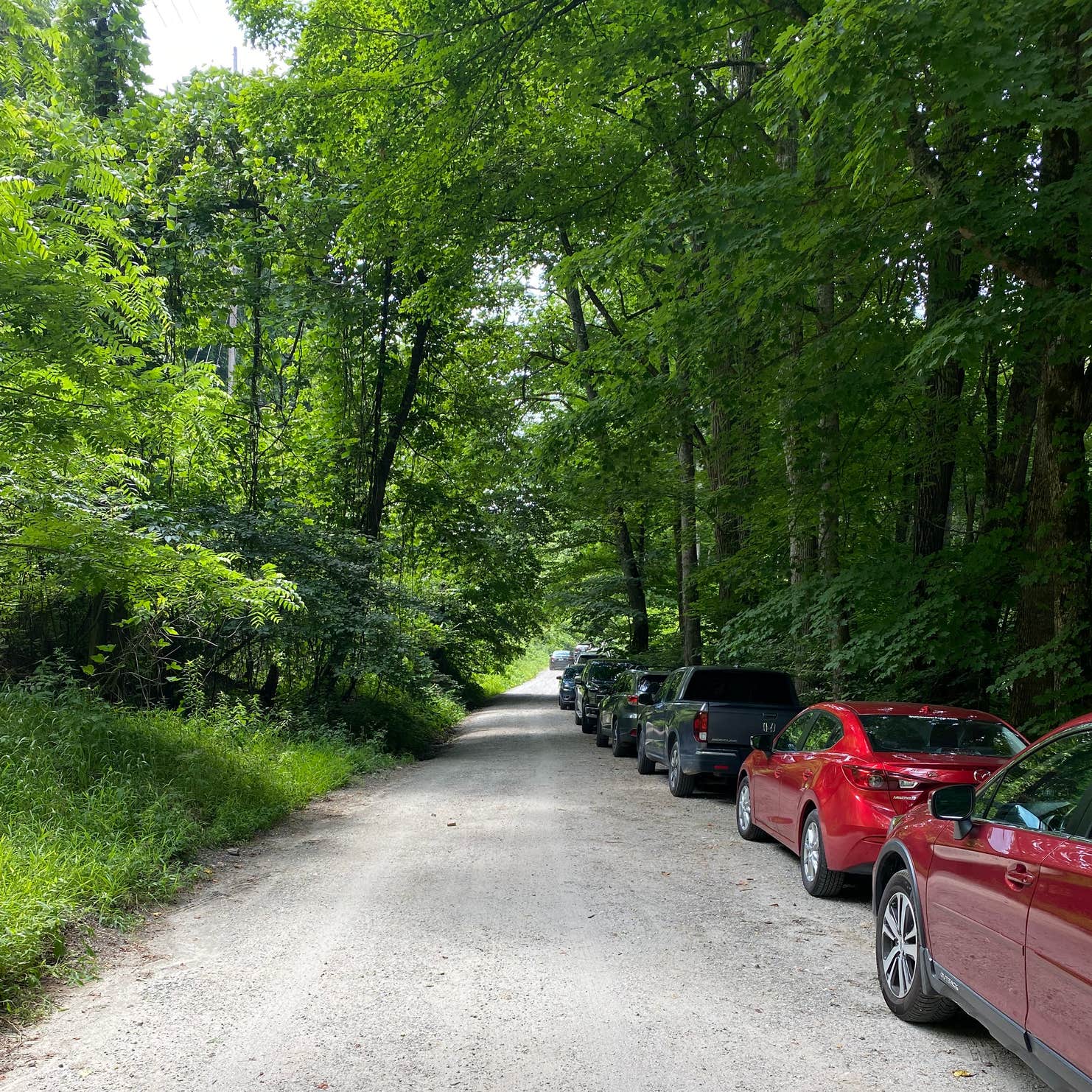 Trout Creek Campground Glenville, NC