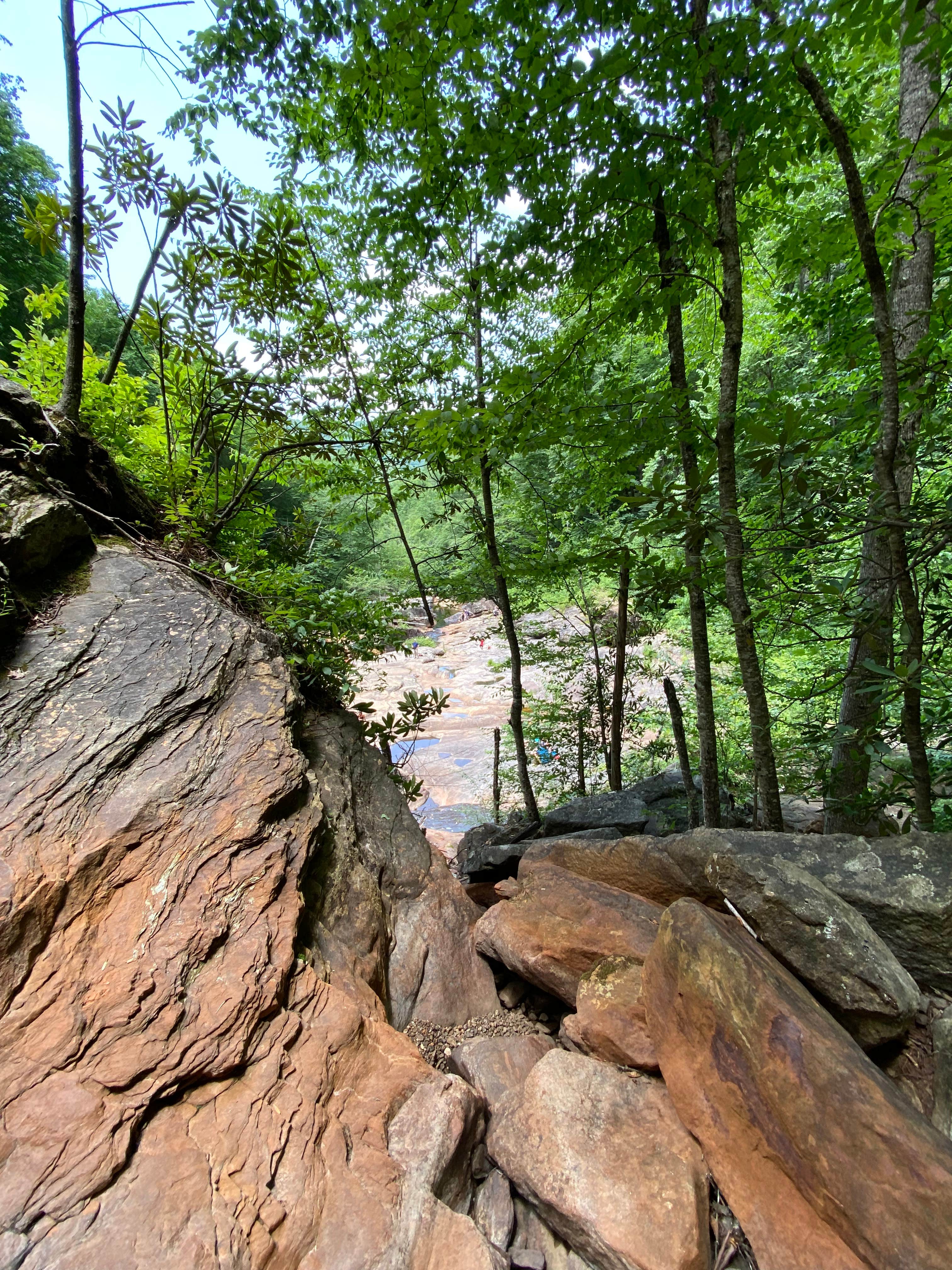 Camper-submitted photo at Trout Creek Campground near Highlands, NC