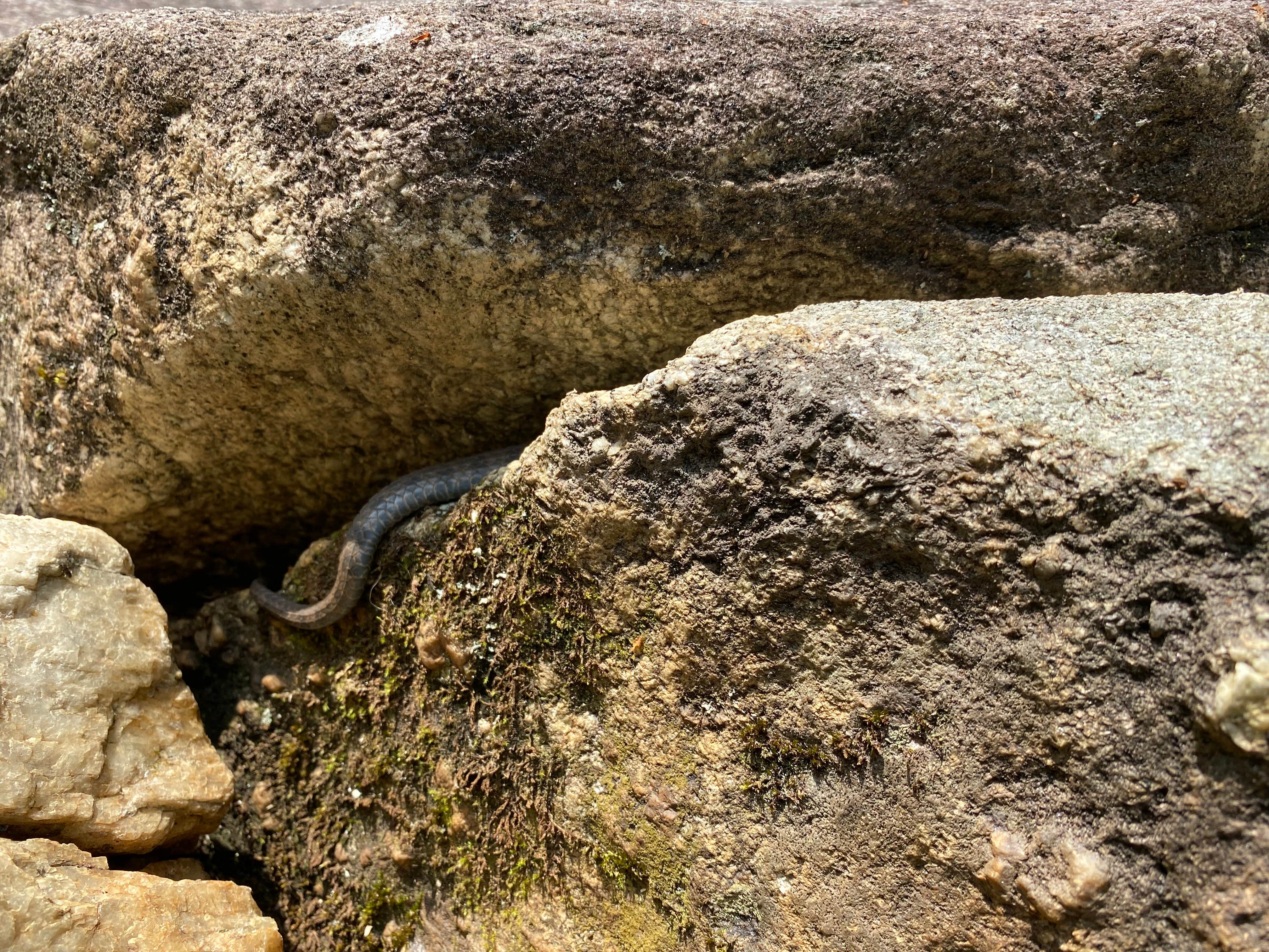 Camper-submitted photo at Trout Creek Campground near Highlands, NC