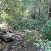 Review photo of Cloudland Canyon State Park Campground by Asher K., October 1, 2022