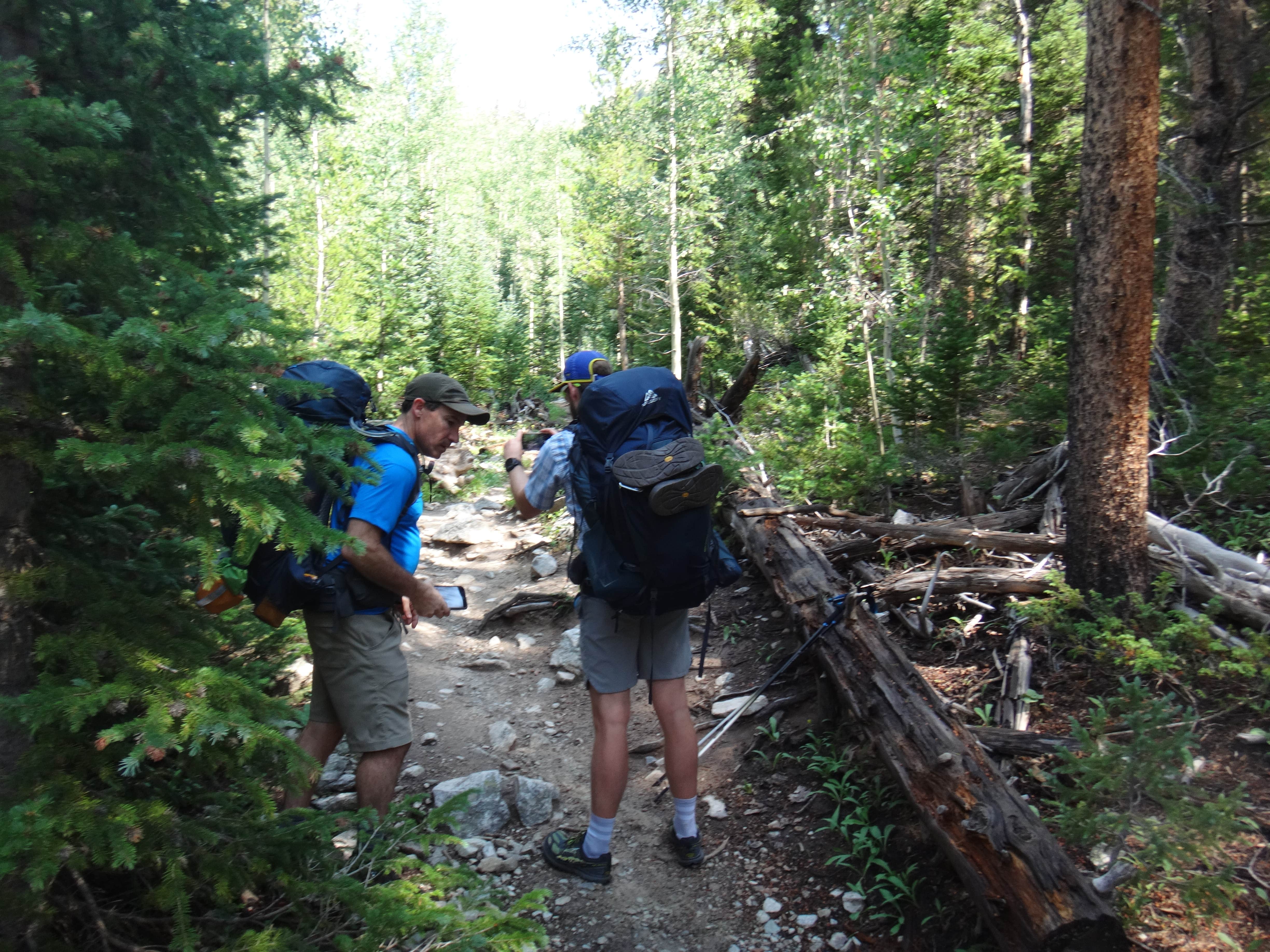 Camper submitted image from Horn Fork Basin Dispersed Camping - 3