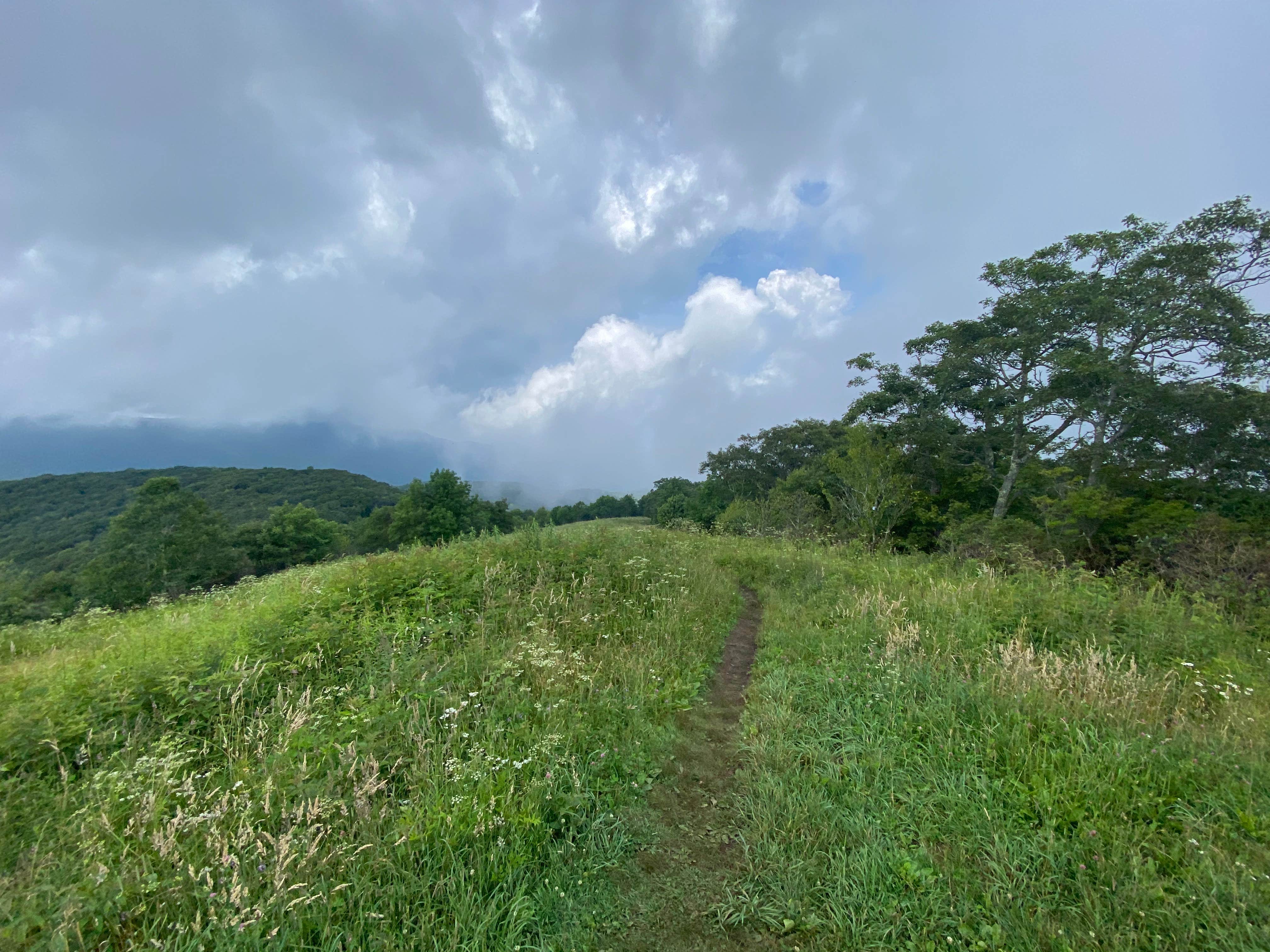 Siler hotsell bald shelter