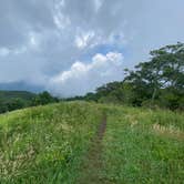 Review photo of Siler Bald Trail Shelter  TR 373 by Asher K., October 1, 2022