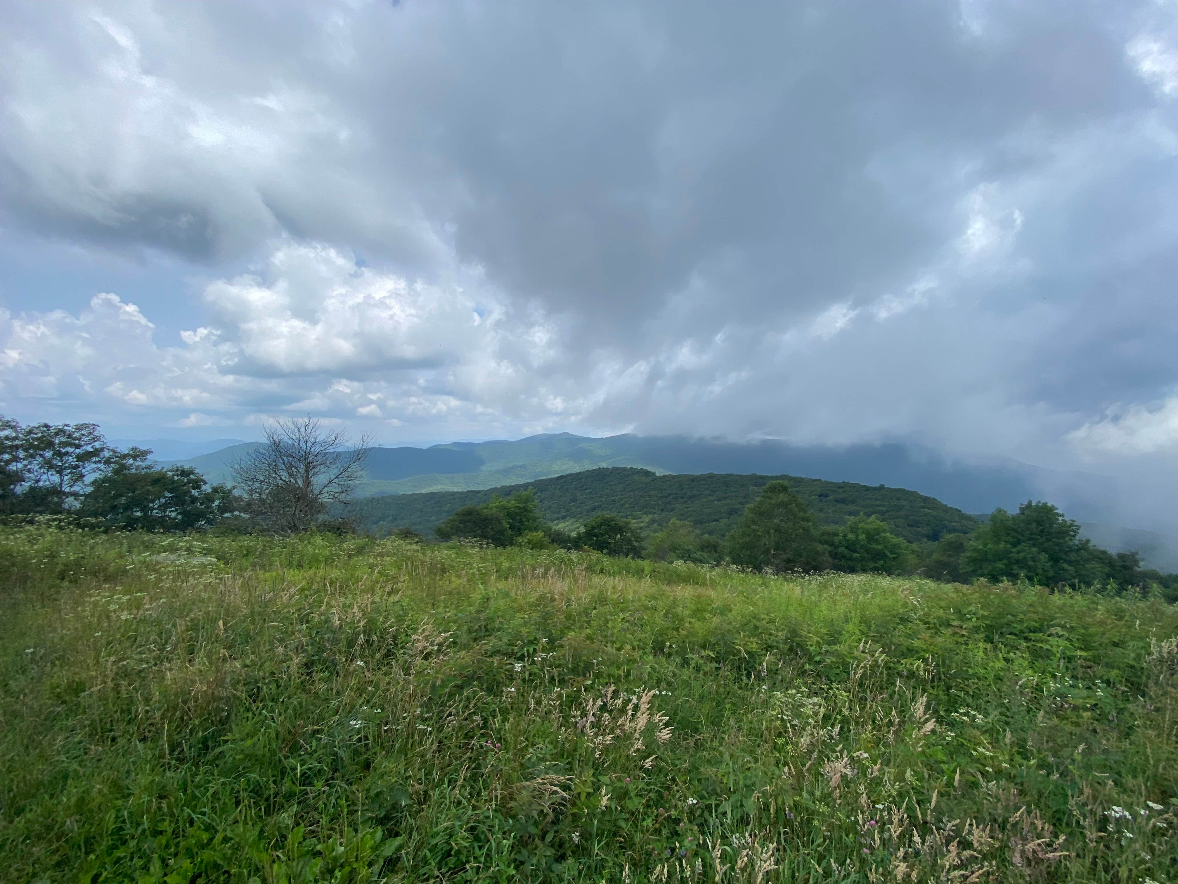 Camper-submitted photo at Siler Bald Trail Shelter TR 373 near Otto, NC
