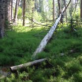 Review photo of Horn Fork Basin Dispersed Camping by Tommie J., September 4, 2018