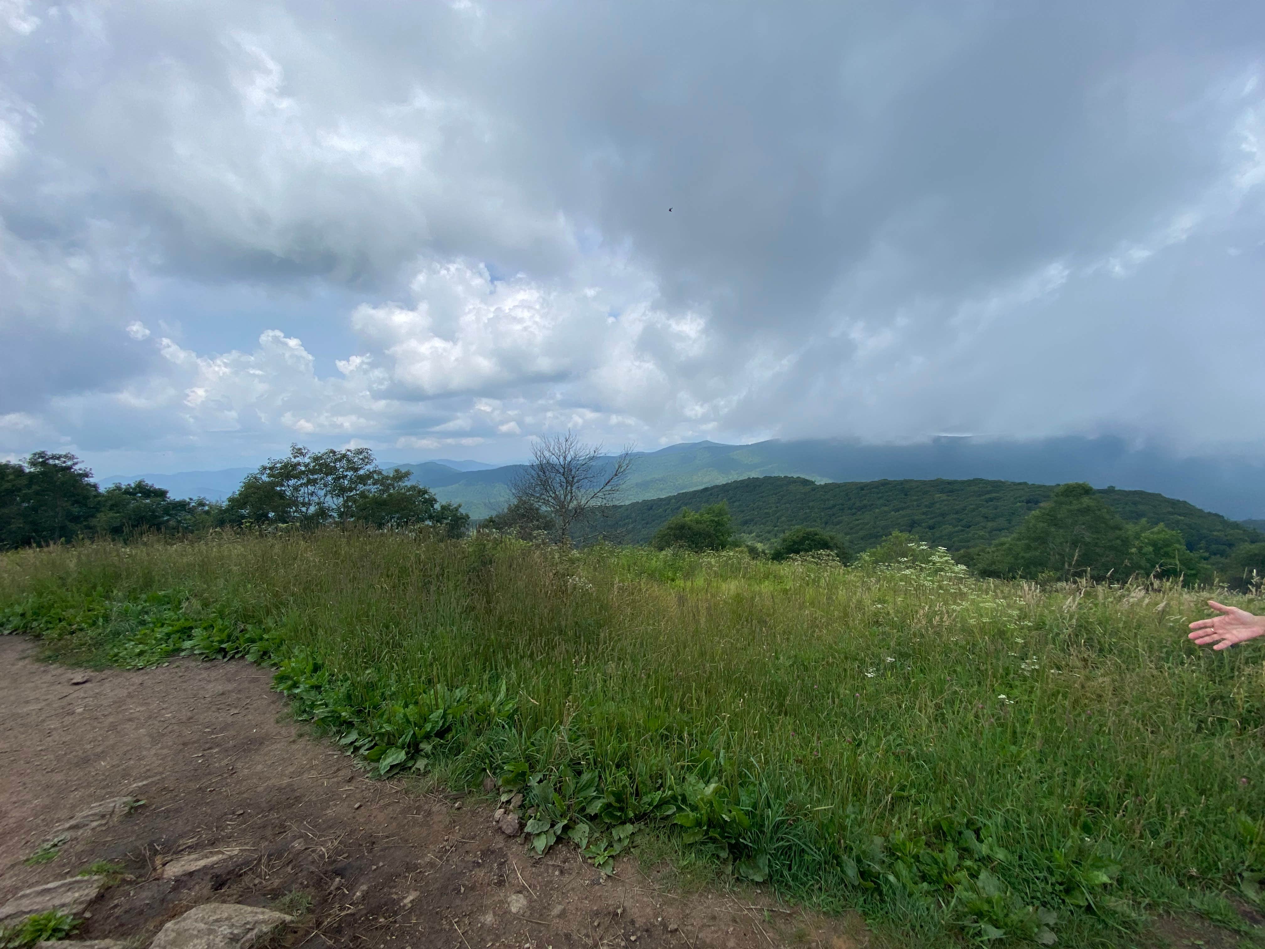 Camper submitted image from Siler Bald Trail Shelter  TR 373 - 4