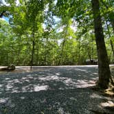 Review photo of West Rim - Cloudland Canyon State Park by Asher K., October 1, 2022