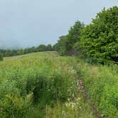 Review photo of Siler Bald Trail Shelter  TR 373 by Asher K., October 1, 2022