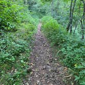 Review photo of Siler Bald Trail Shelter  TR 373 by Asher K., October 1, 2022