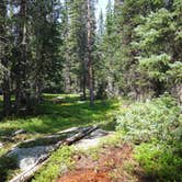 Review photo of Horn Fork Basin Dispersed Camping by Tommie J., September 4, 2018