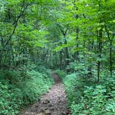 Review photo of Siler Bald Trail Shelter  TR 373 by Asher K., October 1, 2022