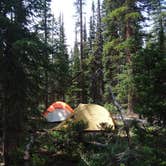 Review photo of Horn Fork Basin Dispersed Camping by Tommie J., September 4, 2018