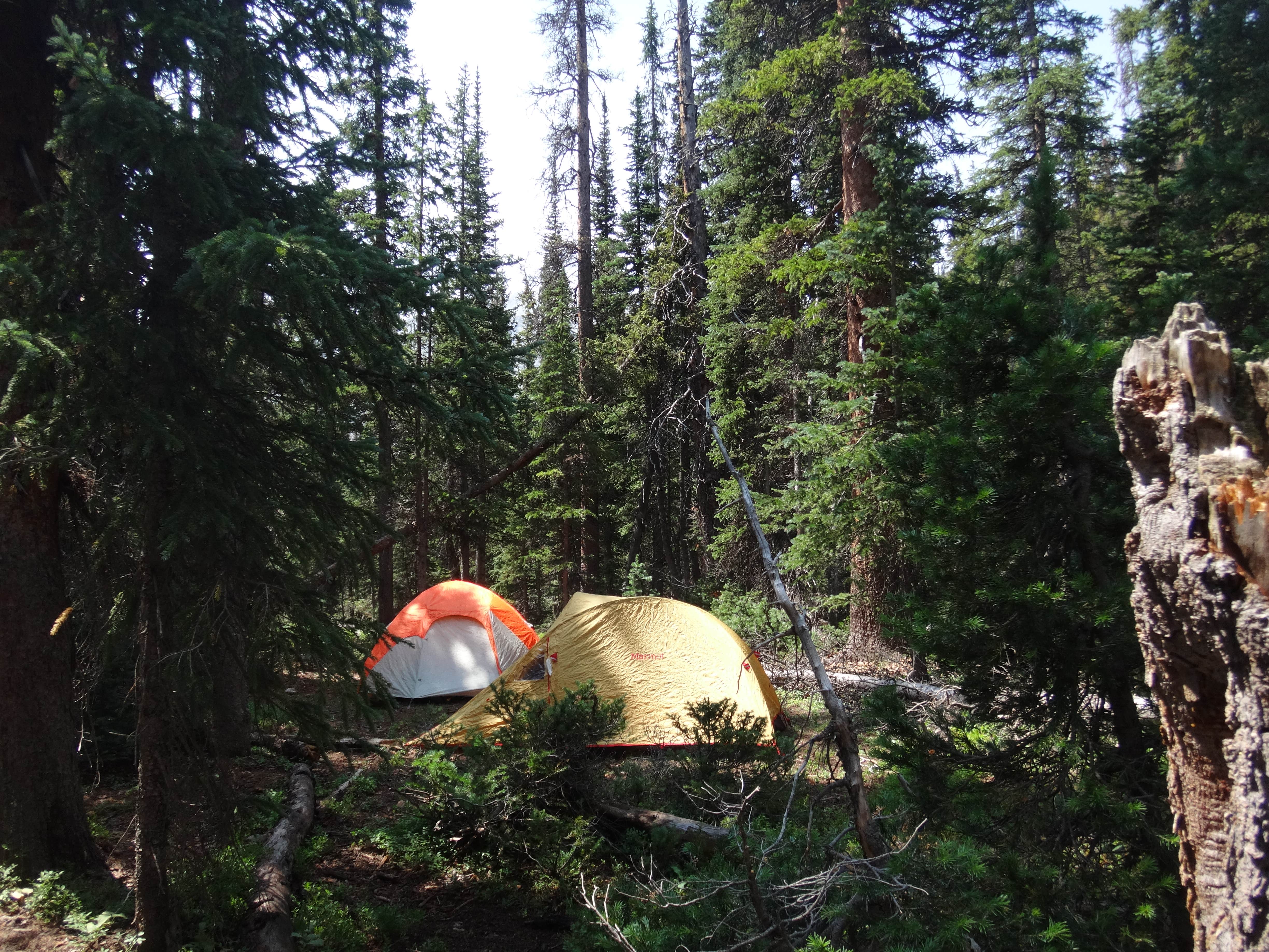 Camper submitted image from Horn Fork Basin Dispersed Camping - 4