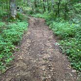 Review photo of Siler Bald Trail Shelter  TR 373 by Asher K., October 1, 2022