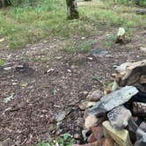 Review photo of Pinhoti Trail Backcountry Campground by Asher K., October 1, 2022