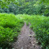 Review photo of Siler Bald Trail Shelter  TR 373 by Asher K., October 1, 2022