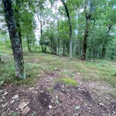 Review photo of Pinhoti Trail Backcountry Campground by Asher K., October 1, 2022