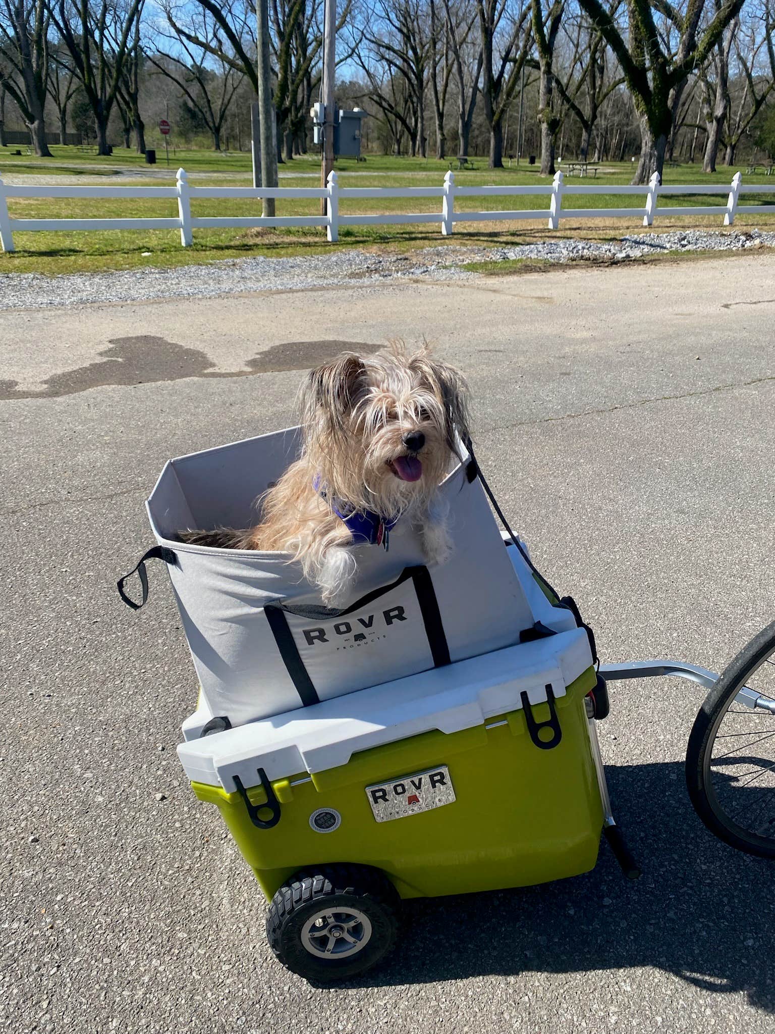 Asher K.'s photo of camping with pets at Michael Tucker Memorial Park & Chief Ladiga Trail near Gadsden, AL