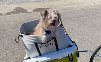 Asher K.'s photo of camping with pets at Michael Tucker Memorial Park & Chief Ladiga Trail near Jacksonville, AL