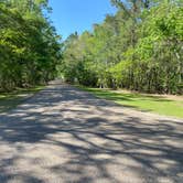 Review photo of Fontainebleau State Park Campground by Asher K., October 1, 2022