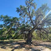 Review photo of Fontainebleau State Park Campground by Asher K., October 1, 2022