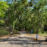 Review photo of Fontainebleau State Park Campground by Asher K., October 1, 2022