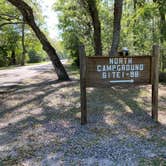 Review photo of Fontainebleau State Park Campground by Asher K., October 1, 2022