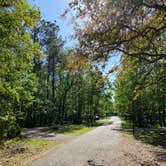 Review photo of Fontainebleau State Park Campground by Asher K., October 1, 2022