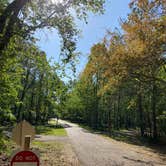 Review photo of Fontainebleau State Park Campground by Asher K., October 1, 2022