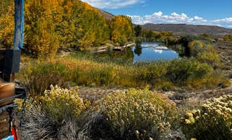Camping near Elk Creek Campground: Blue Mesa Recreational Ranch, Gunnison, Colorado