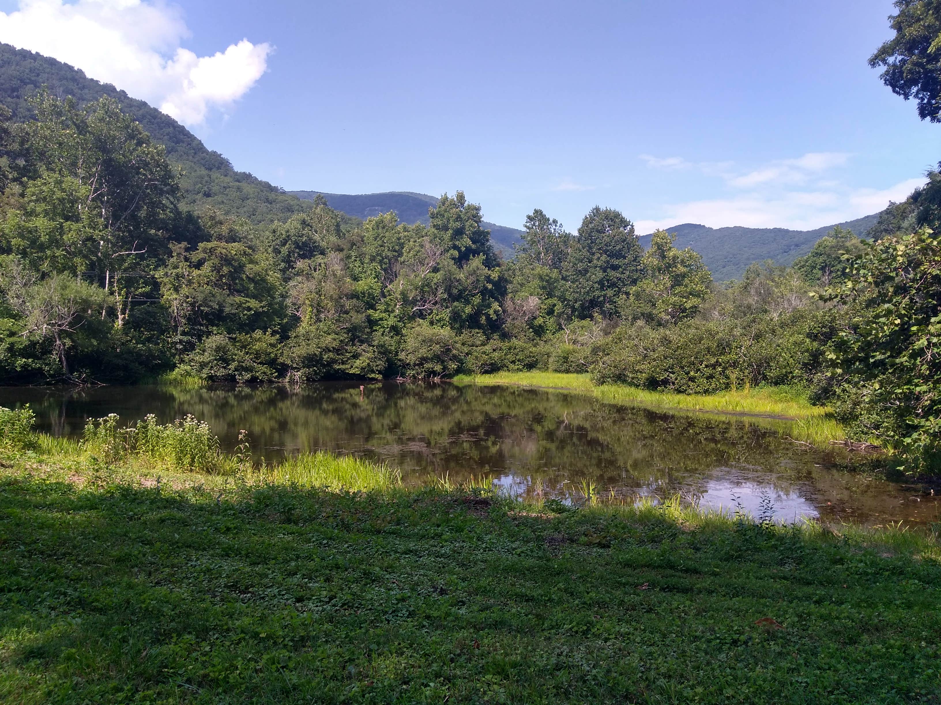 Camping near Howell in the Holler: Pondside Single, Swannanoa, North Carolina
