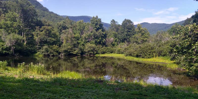 Camper submitted image from Pondside Single