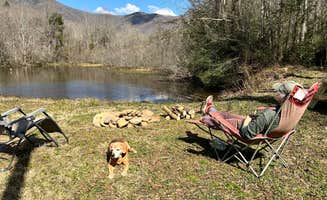 karen J.'s photo of camping with pets at Pondside Single near Swannanoa, NC