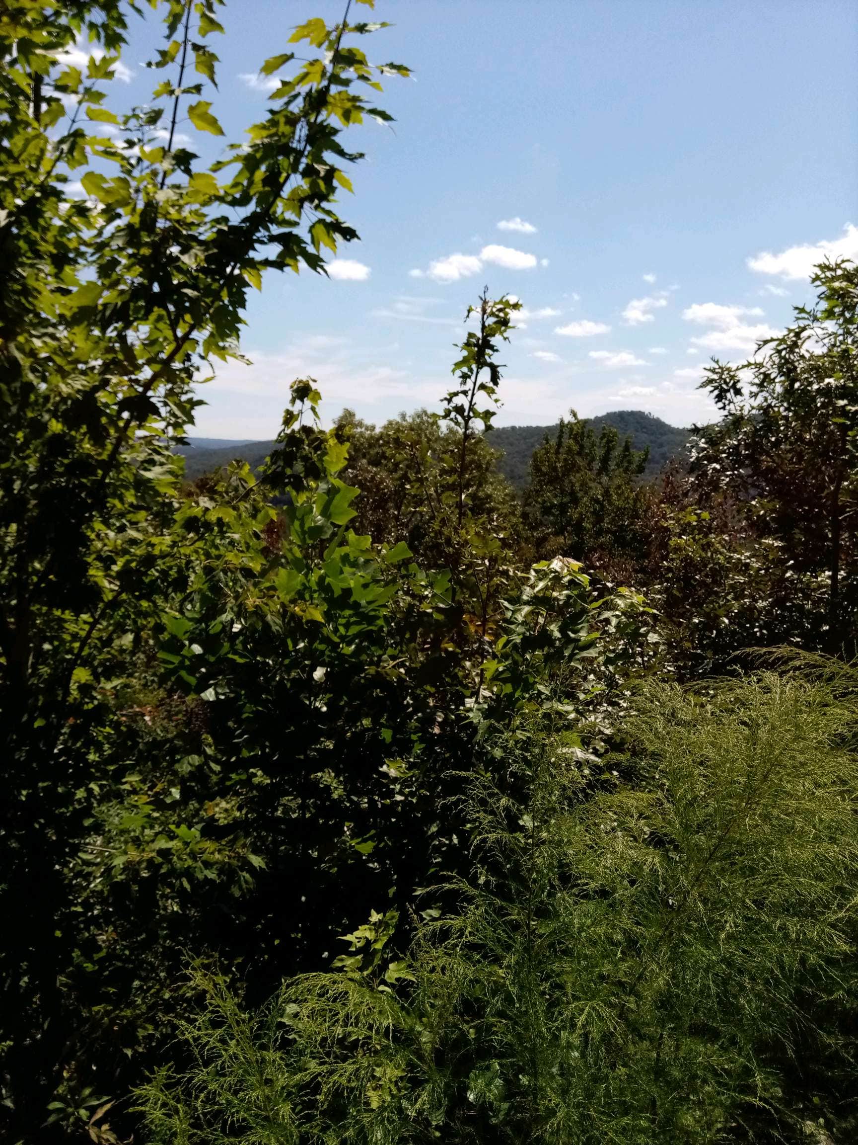 Camping near Down by the River Campground - 55+: Elk Mountain RV, Newland, North Carolina