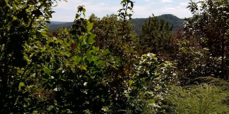 Camper submitted image from Elk Mountain RV