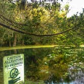 Review photo of Hontoon Island State Park Campground by Ellen E., August 5, 2016