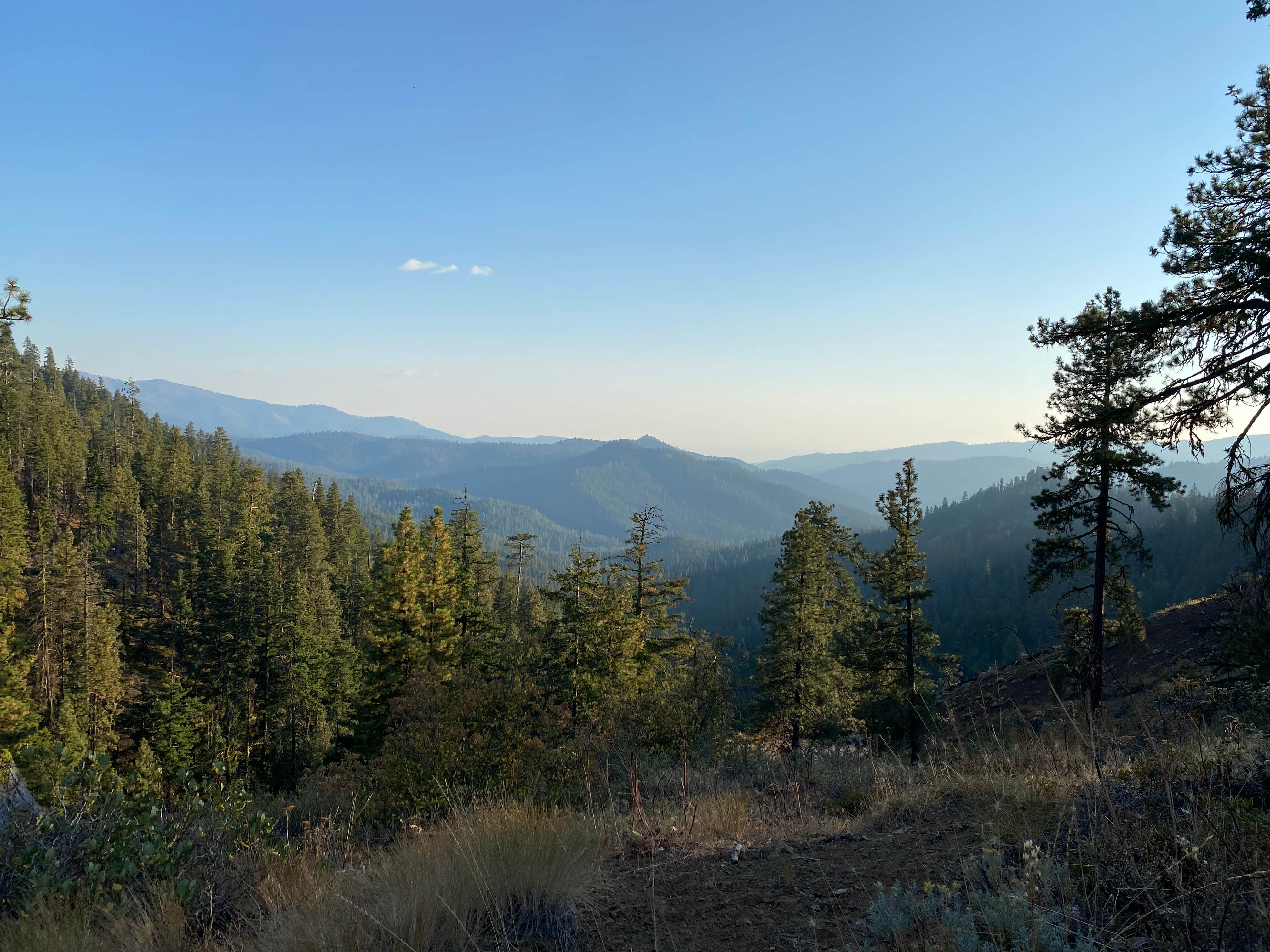 Camper-submitted photo at Old Bluett Pass Road Dispersed near Ellensburg, WA