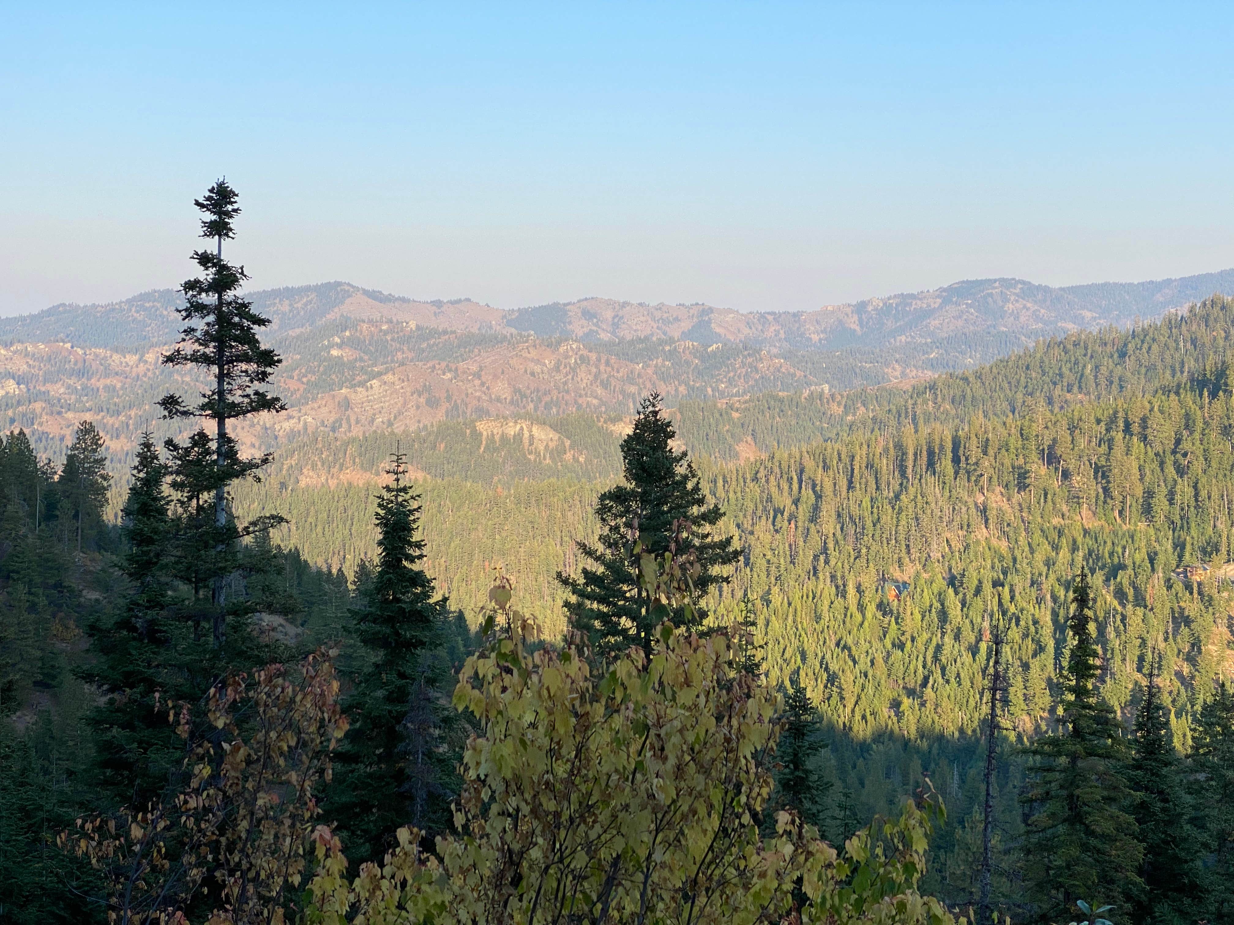 Camper-submitted photo at Old Bluett Pass Road Dispersed near Ellensburg, WA