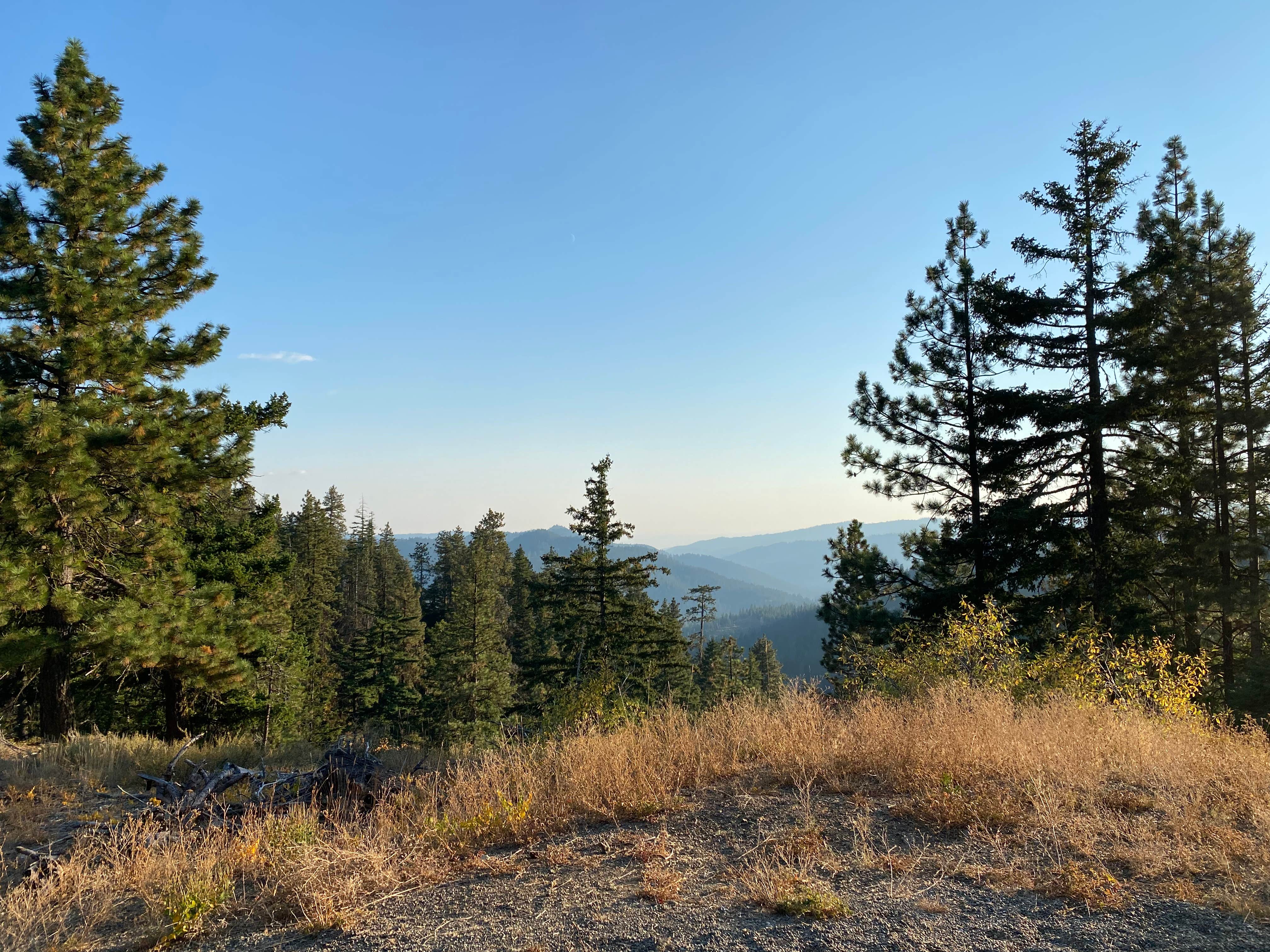 Camper-submitted photo at Old Bluett Pass Road Dispersed near Ellensburg, WA