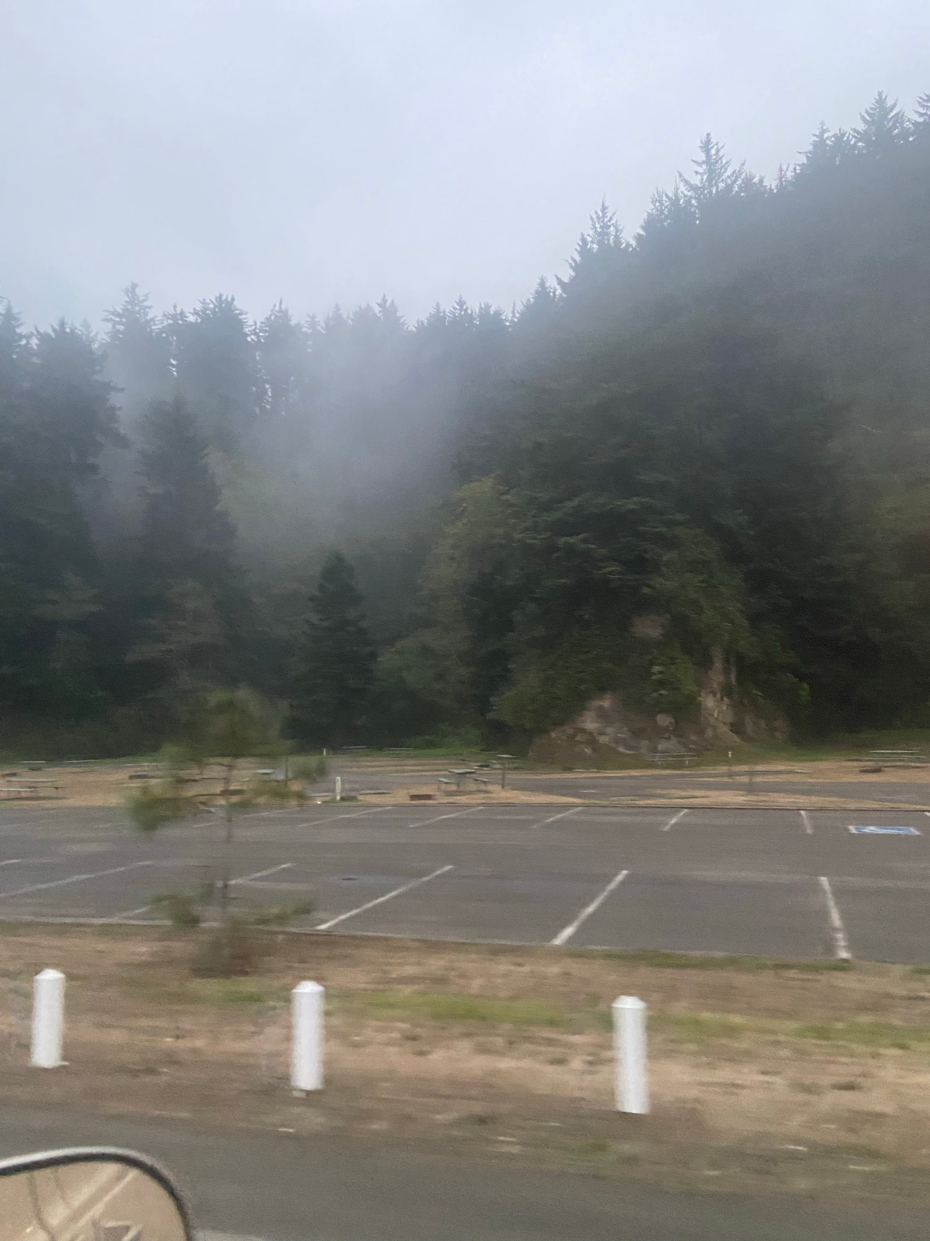Camper submitted image from Windy Cove Campground (Section B) - 2