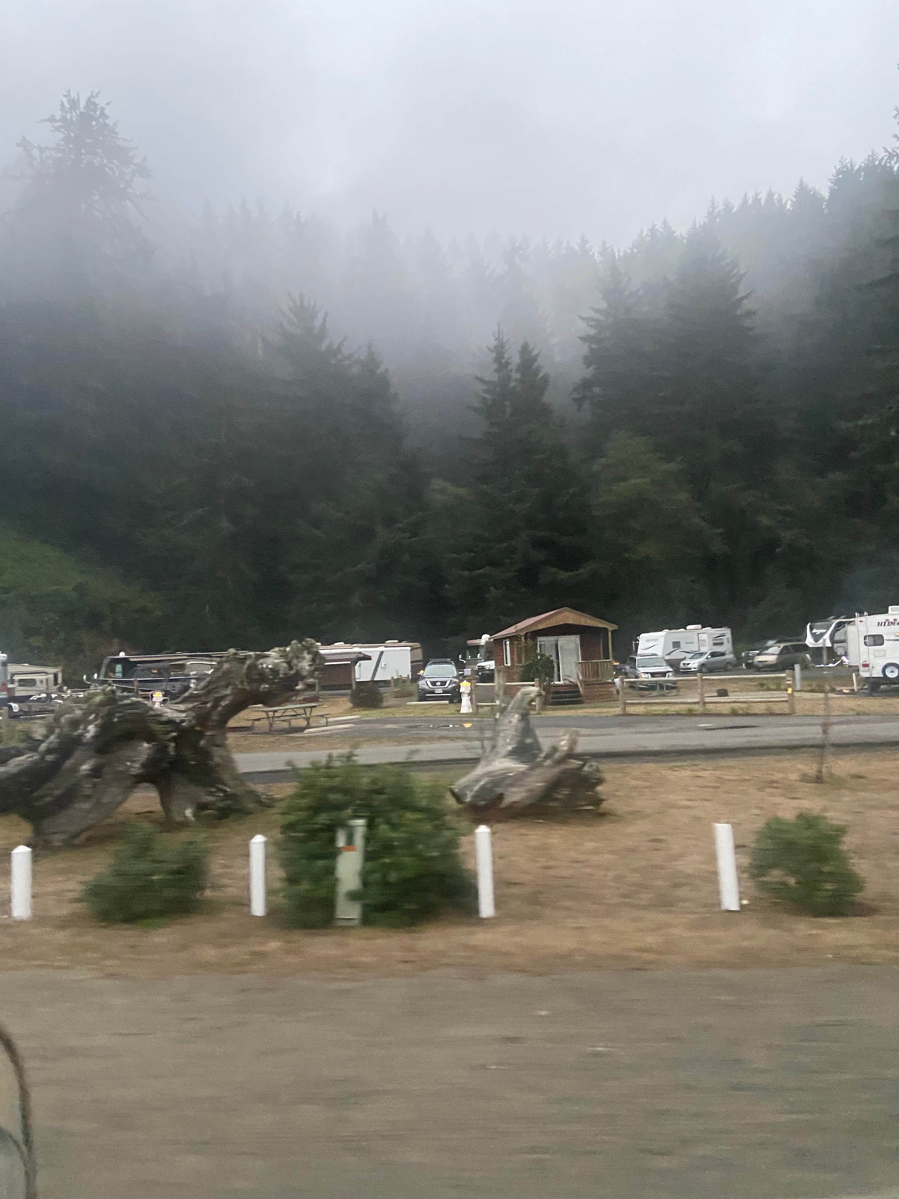 Camper-submitted photo at Windy Cove Campground (Section B) near Gardiner, OR