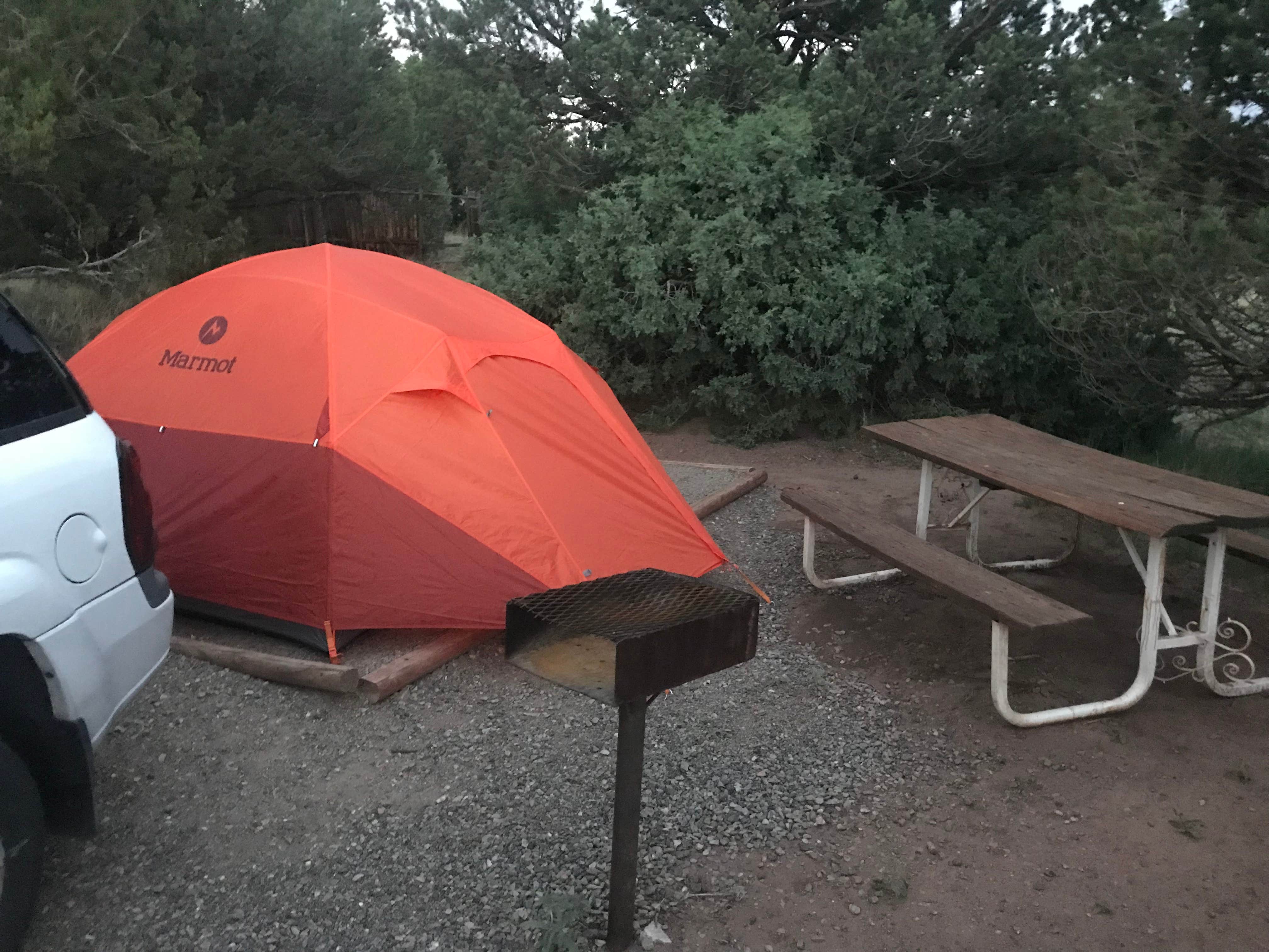 Camper submitted image from Turquoise Trail Campground - 4