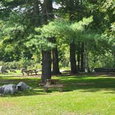 Review photo of Webb's Campground by Nancy W., October 1, 2022