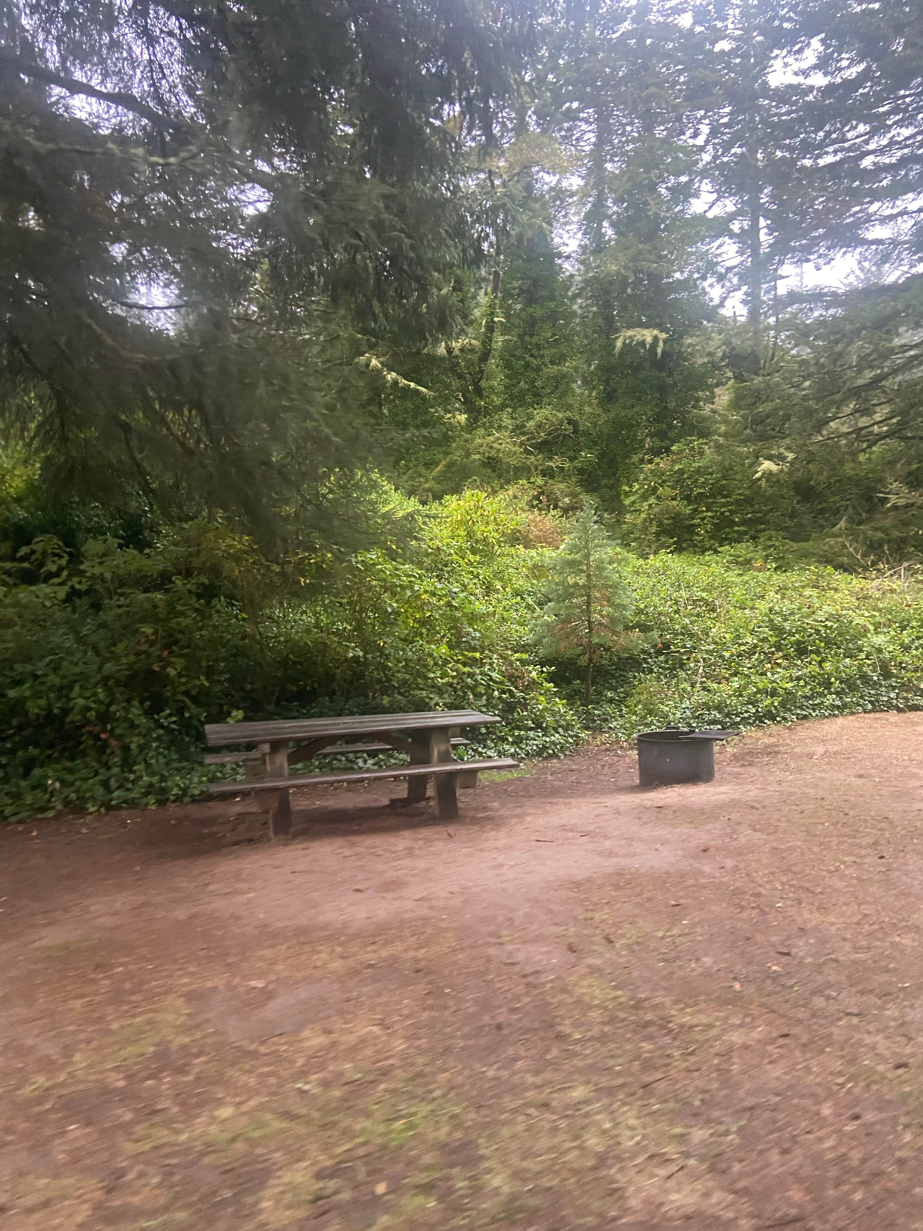 Camper submitted image from Siuslaw National Forest Tahkenitch Landing Campground - 2