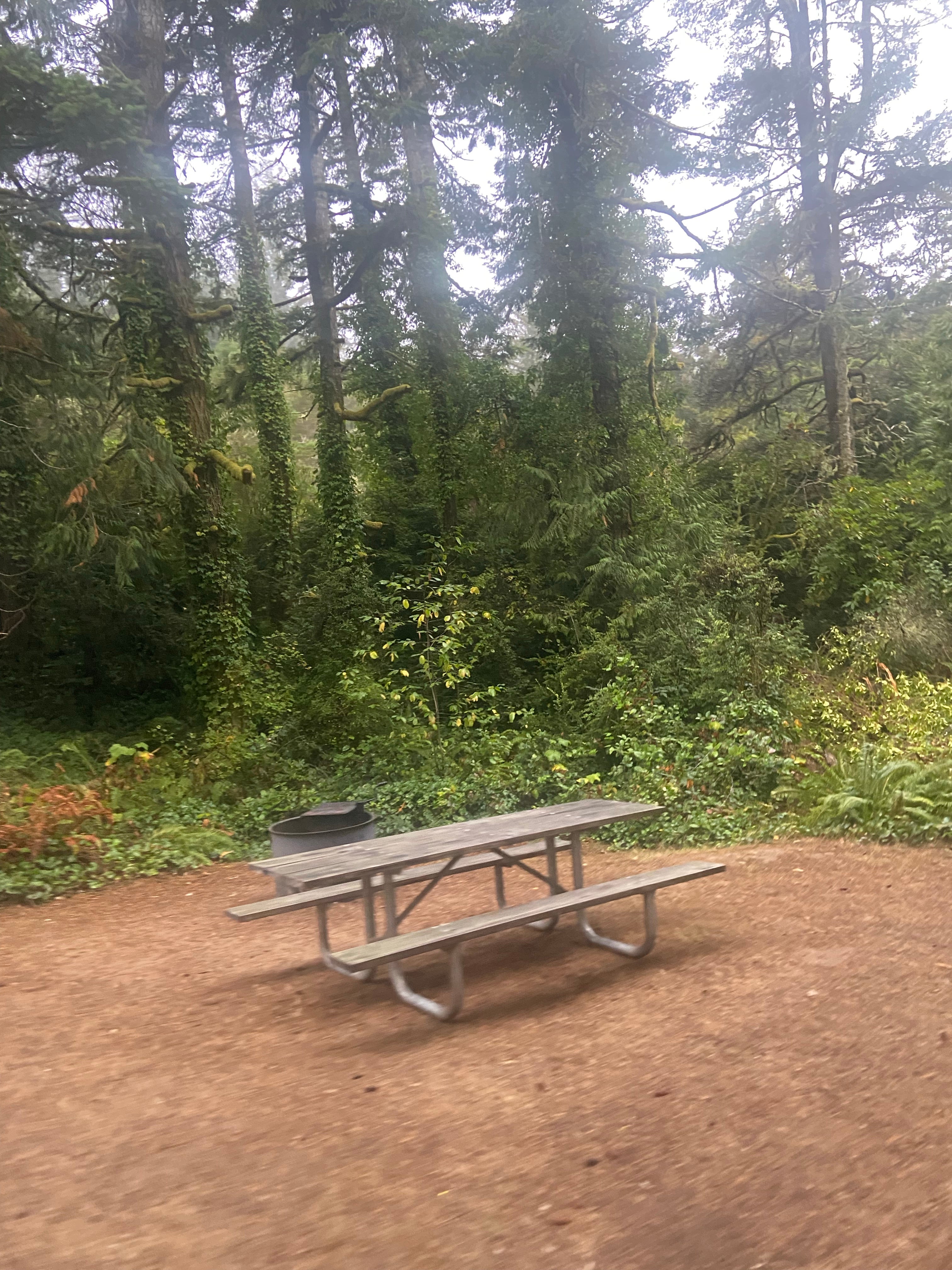 Camper submitted image from Siuslaw National Forest Tahkenitch Landing Campground - 3