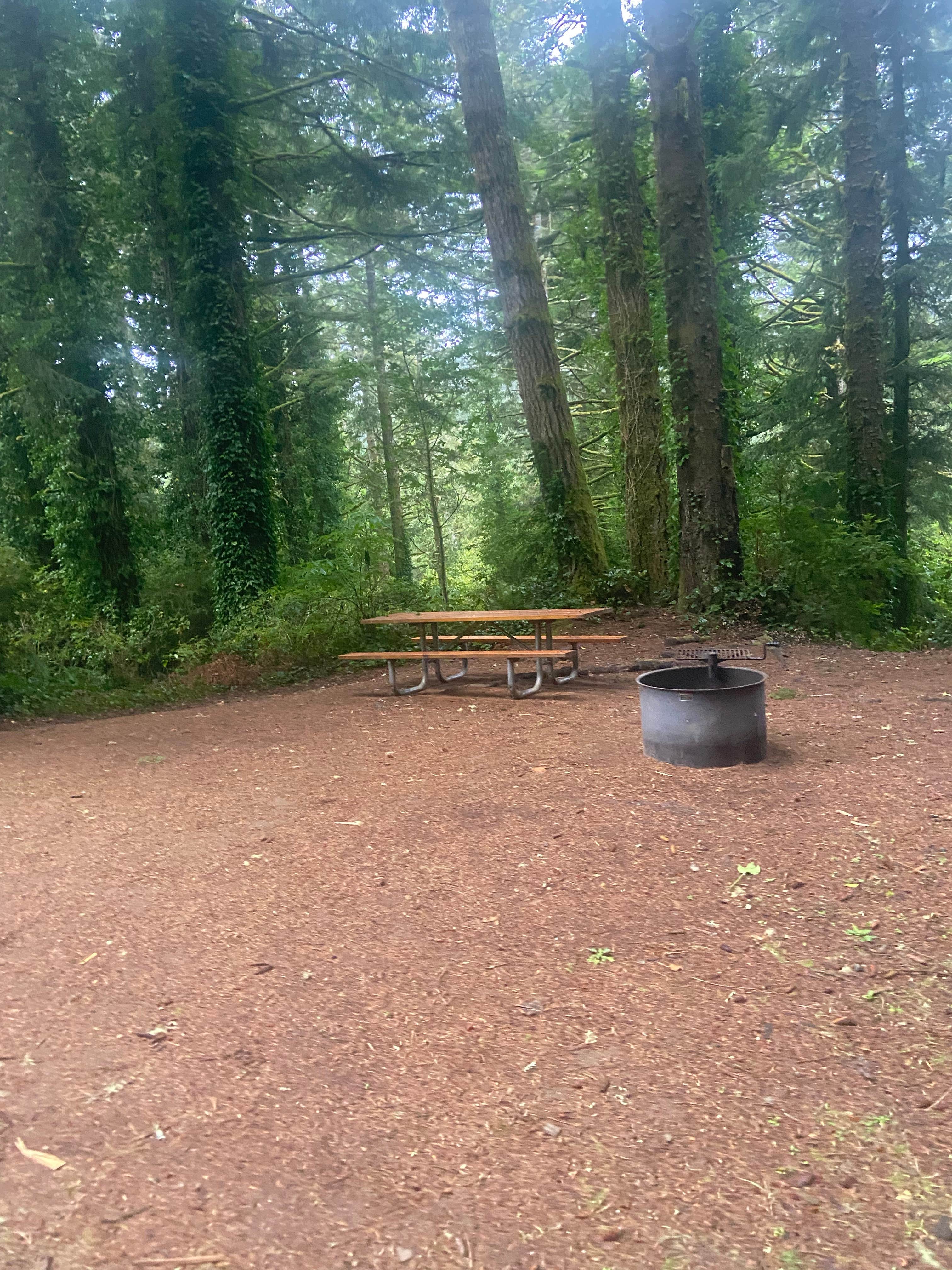 Camper submitted image from Siuslaw National Forest Tahkenitch Landing Campground - 3