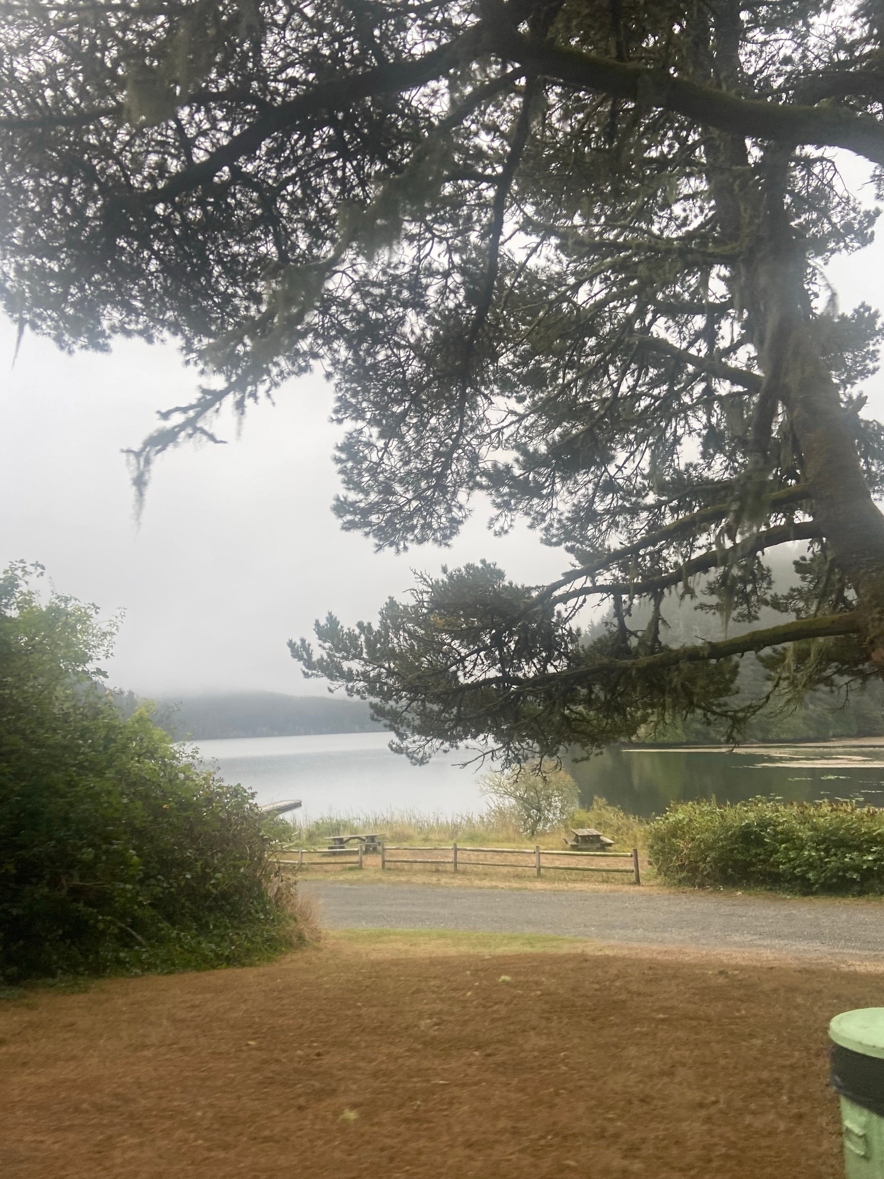 Camper submitted image from Siuslaw National Forest Tahkenitch Landing Campground - 1