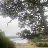 Review photo of Siuslaw National Forest Tahkenitch Landing Campground by Riley N., October 1, 2022