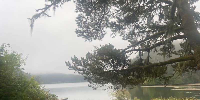Camper submitted image from Siuslaw National Forest Tahkenitch Landing Campground